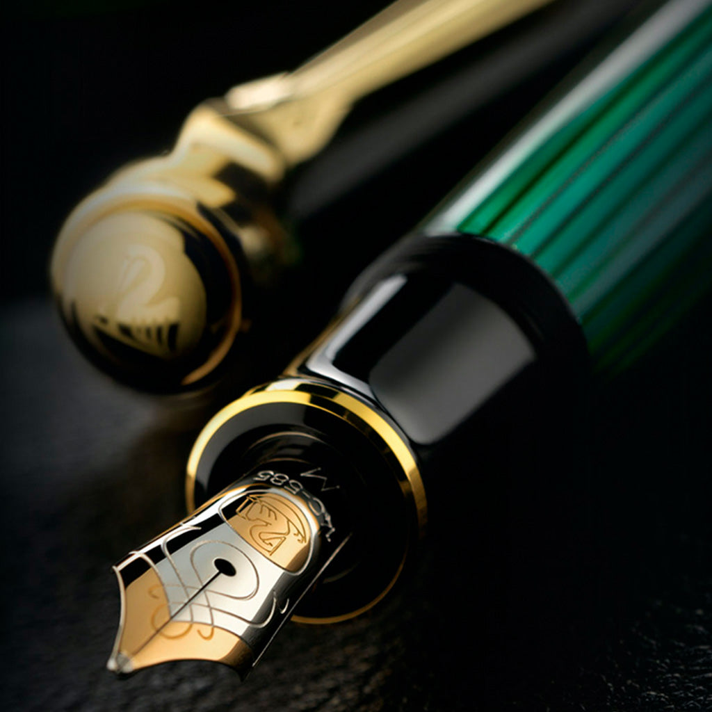 ANNIVERSARY GIFTS - Fountain Pens, Rollers, Ballpoint Pens - Iguana