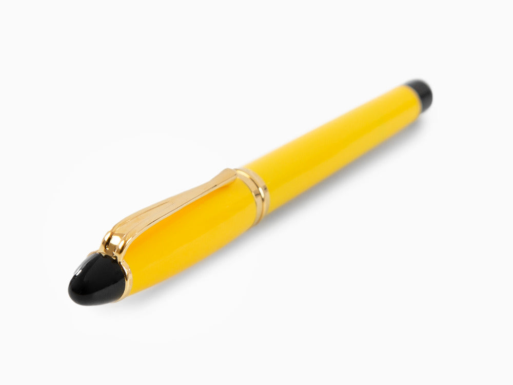 Aurora Ipsilon Fountain Pen, Resin, Gold trim, b11y