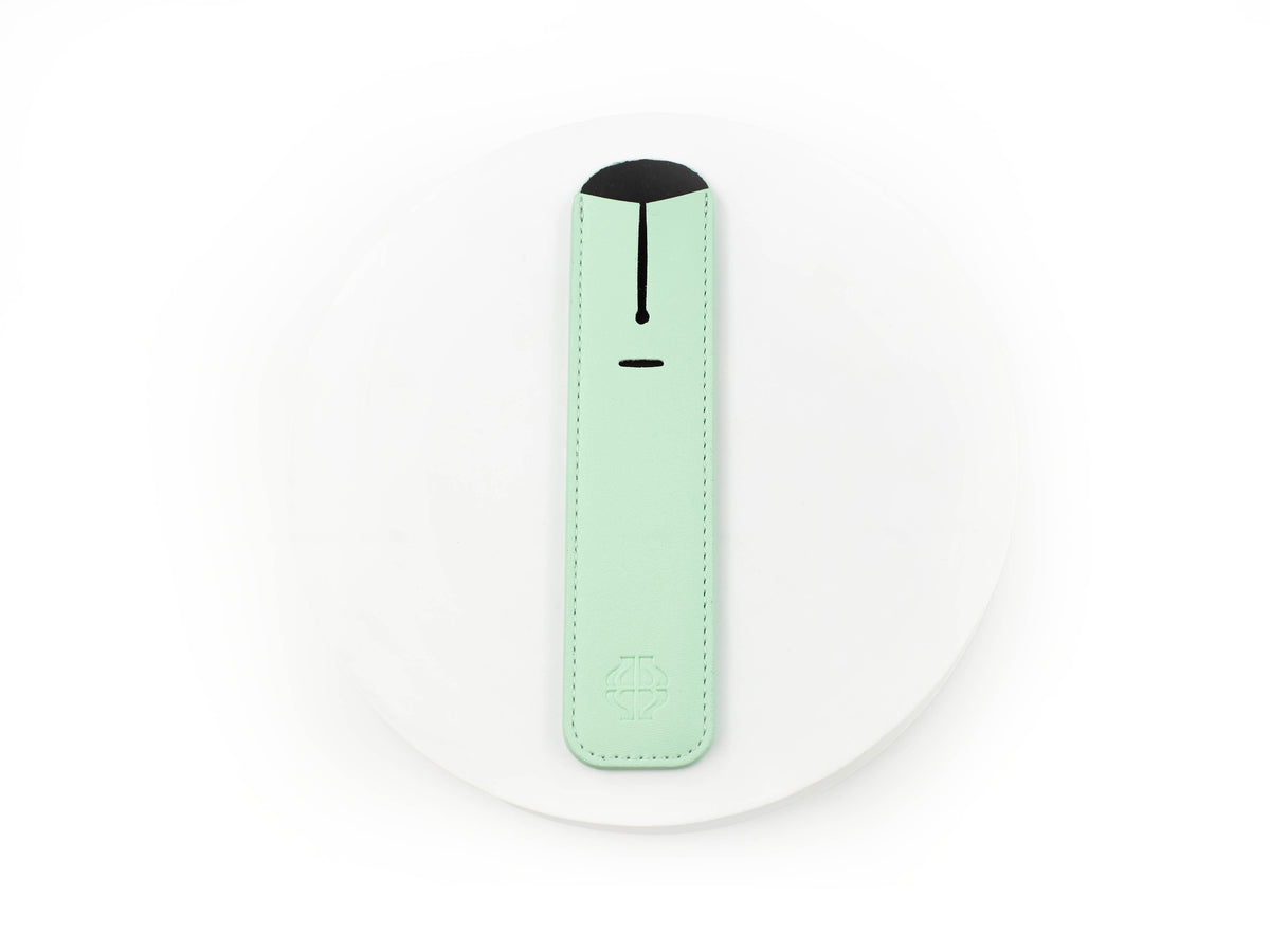 Iguana Writing Pouch Mint Green