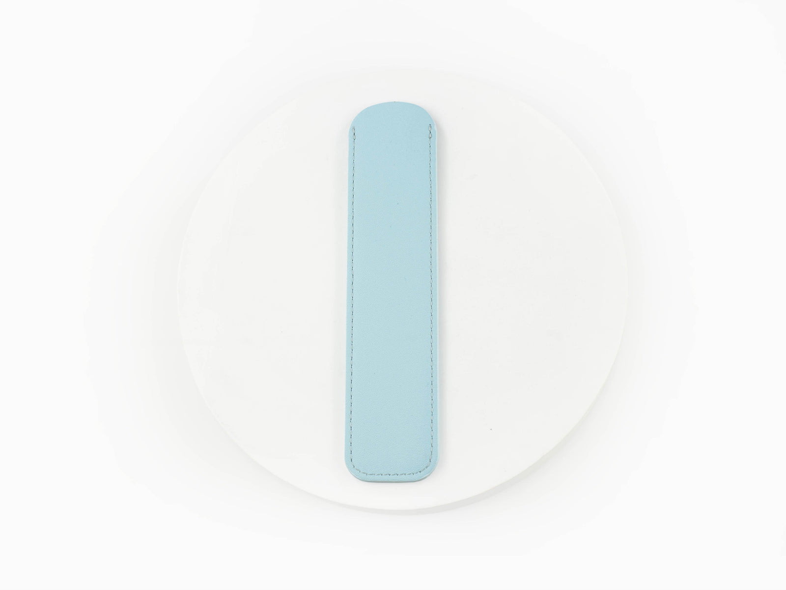 Iguana Writing Pouch Seafoam Green