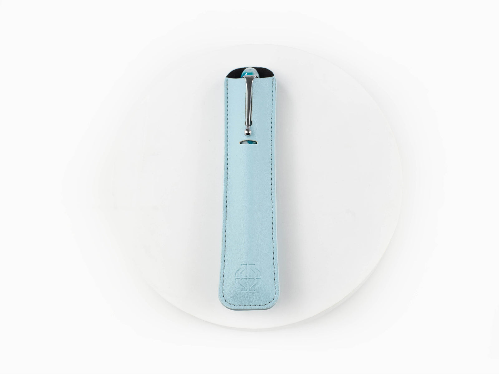 Iguana Writing Pouch Seafoam Green