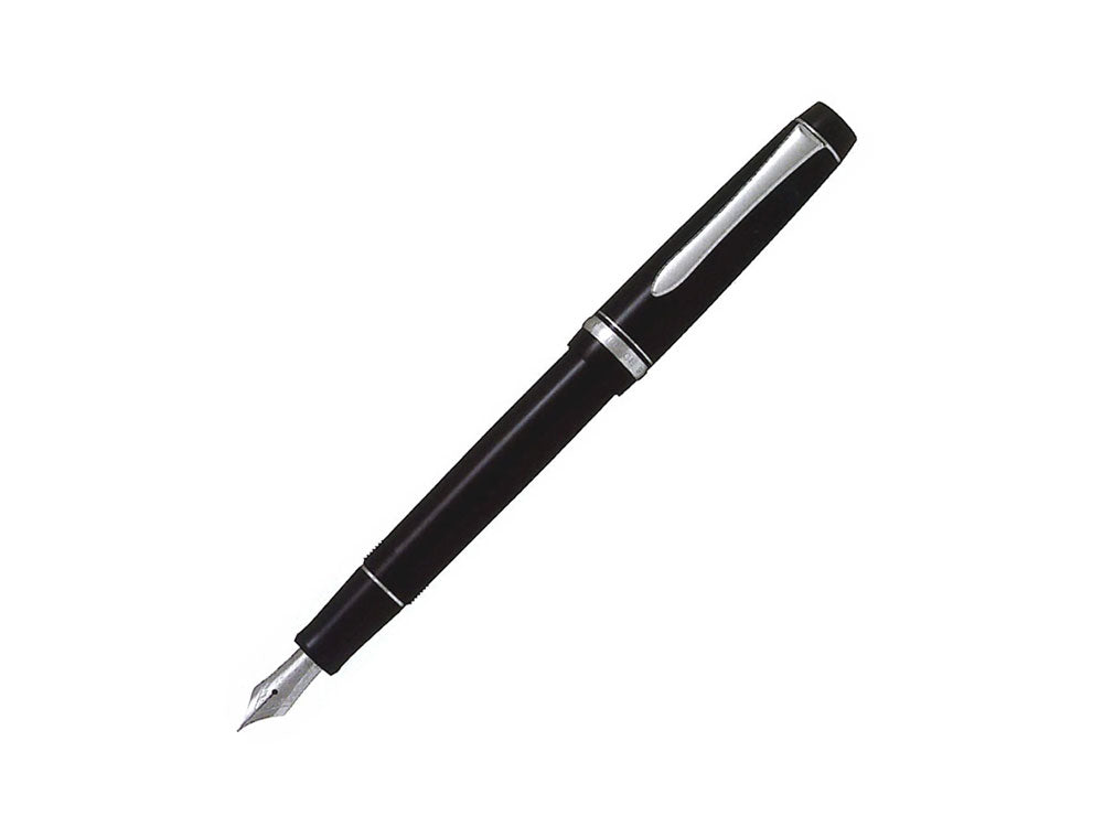 Pilot Custom Heritage 91 Fountain Pen, Resin, Chrome, Black, NH91N ...