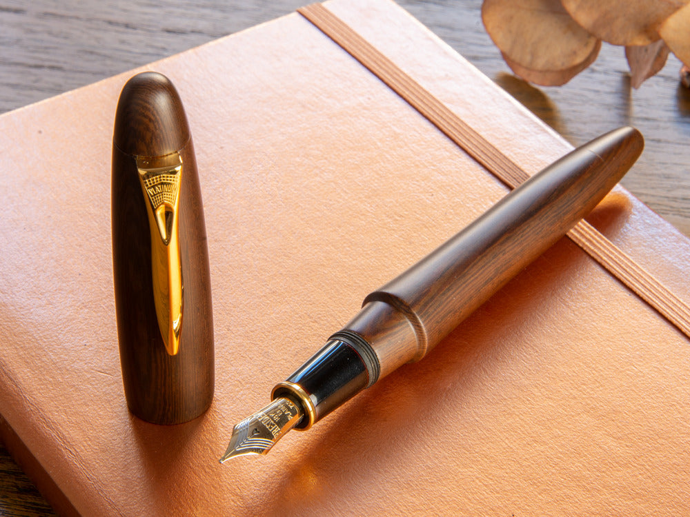 Platinum Izumo Fountain Pen, Brown, Matt Tagayasan, PIZ-50000T-20