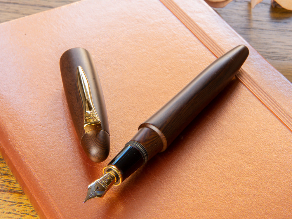 Platinum Izumo Fountain Pen, Brown, Matt Tagayasan, PIZ-50000T-20