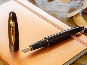 Platinum Izumo Fountain Pen, Brown, Tagayasan wood, PIZ-50000T-21
