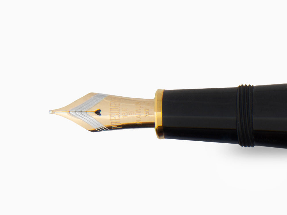 Platinum Izumo Fountain Pen, Black,Ginsen Yakumo, Maki-e