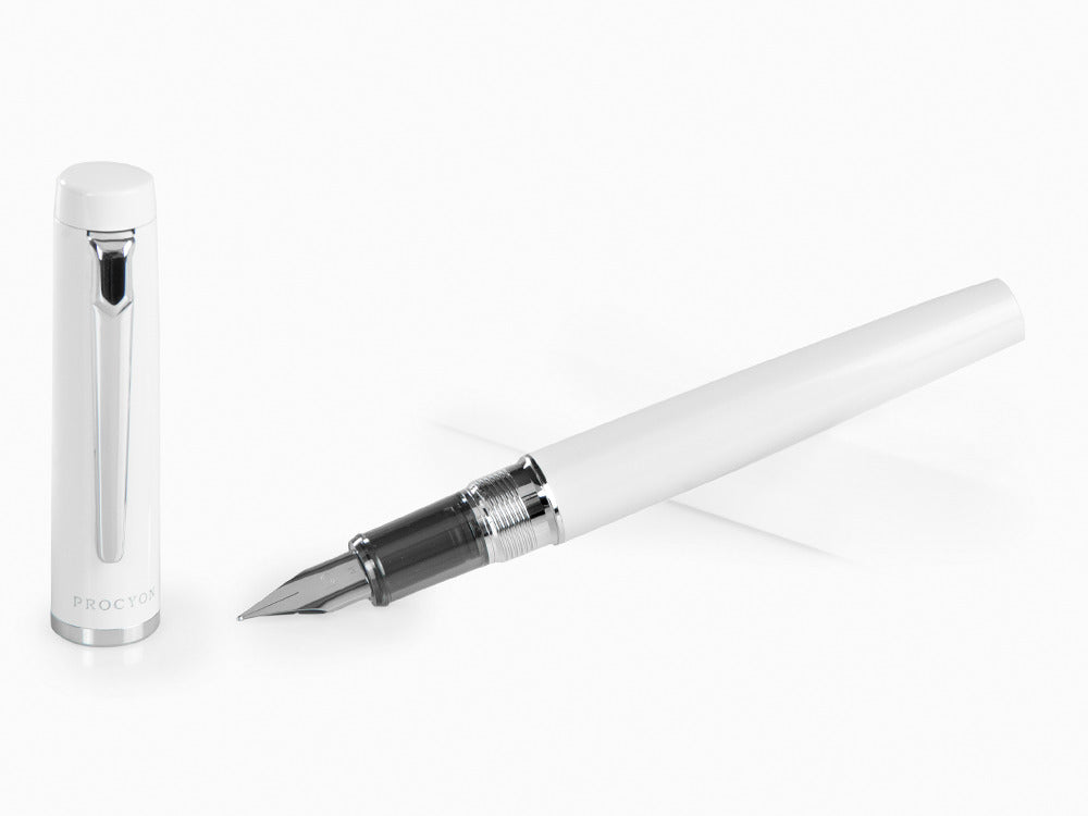 Platinum Procyon Porcelain Fountain Pen, Aluminium, White, PNS-5000-3