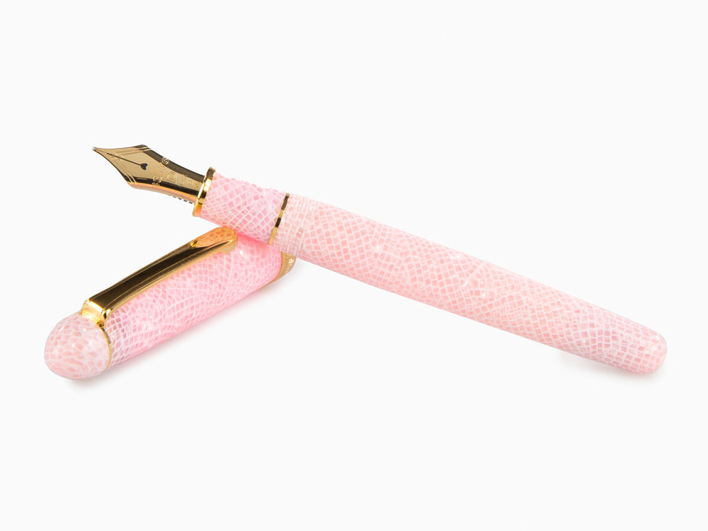 Platinum Celluloid Fountain Pen Sakura, Gold trim, PTB-30000S-40