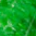 Platinum Celluloid Fountain Pen Jade -Gold Plated Trims- PTB-30000S-45