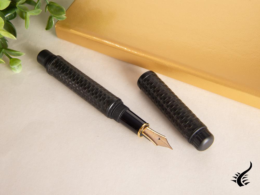 Platinum Izumo Bamboo Ankokushoku Fountain Pen, Black, PBA-120000G-1
