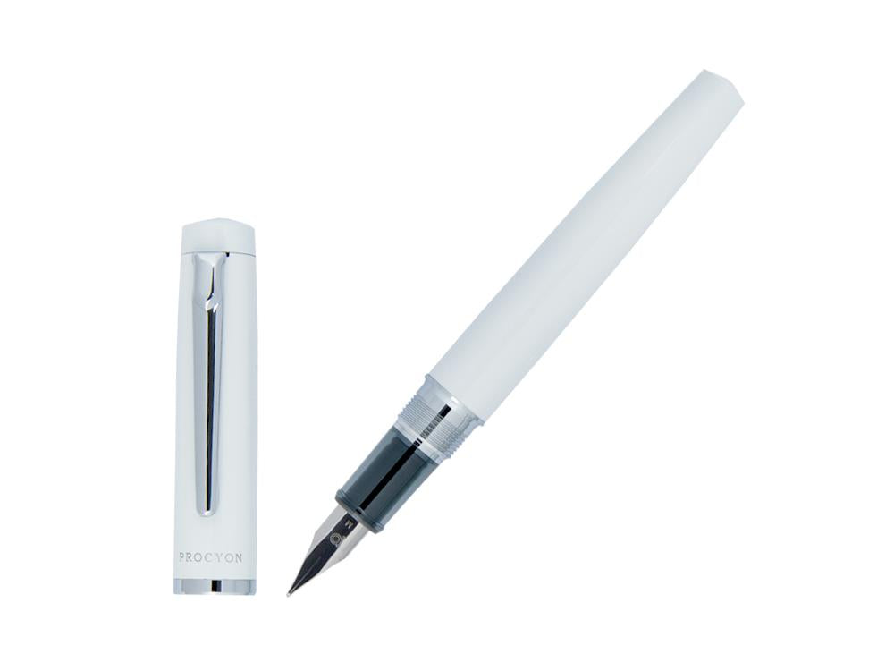 Platinum Procyon Porcelain Fountain Pen, Aluminium, White, PNS-5000-3