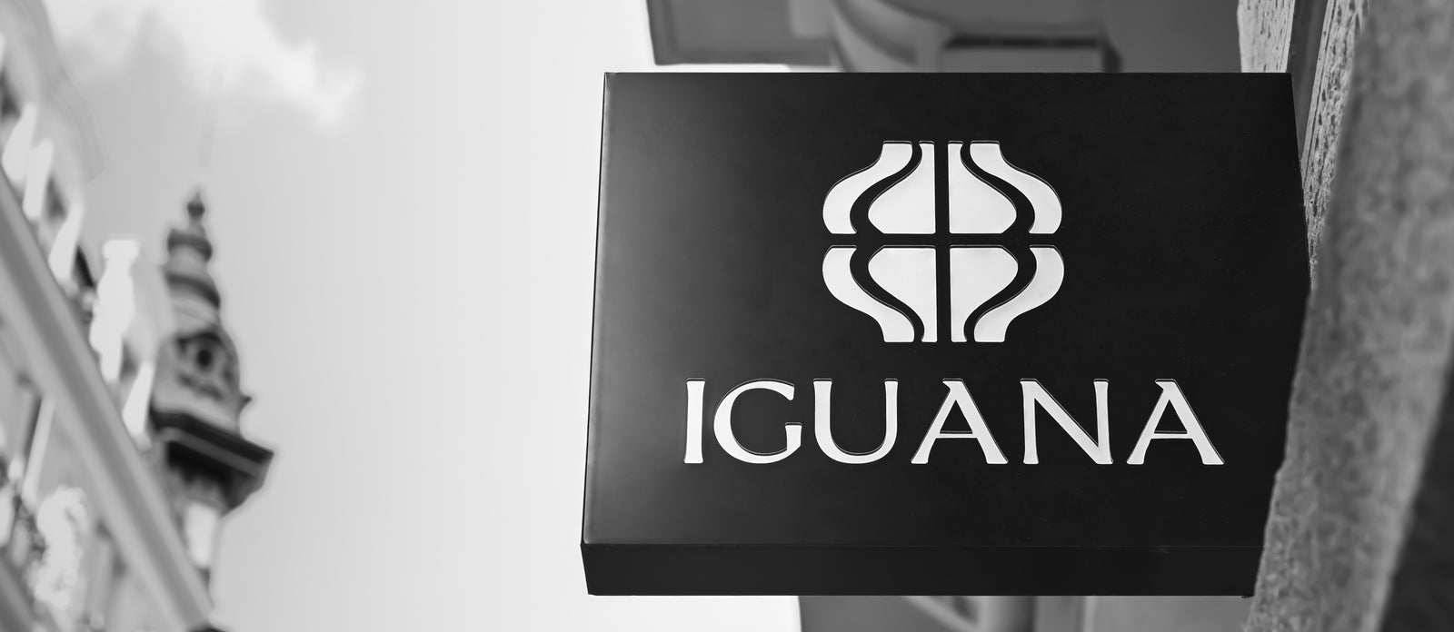 Boutique | Luxury Watches & Writing | Iguana Sell